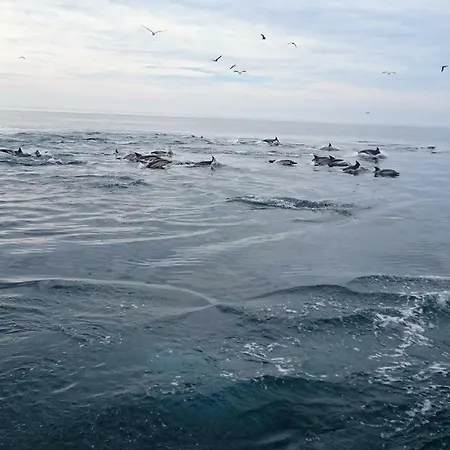 Casas Algarvias Vakantiehuis Arroteia de Baixo