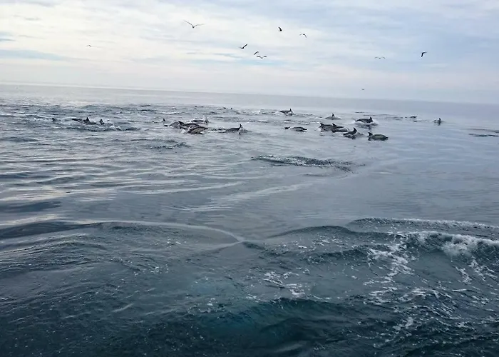 Casas Algarvias Vakantiehuis Arroteia de Baixo