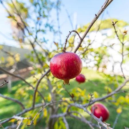 Сasa de vacaciones Casas Algarvias
